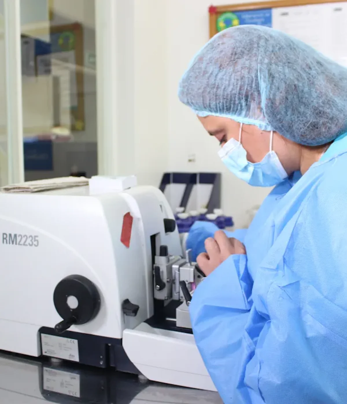 ava-ips-salud-seguridad-en-el-trabajo